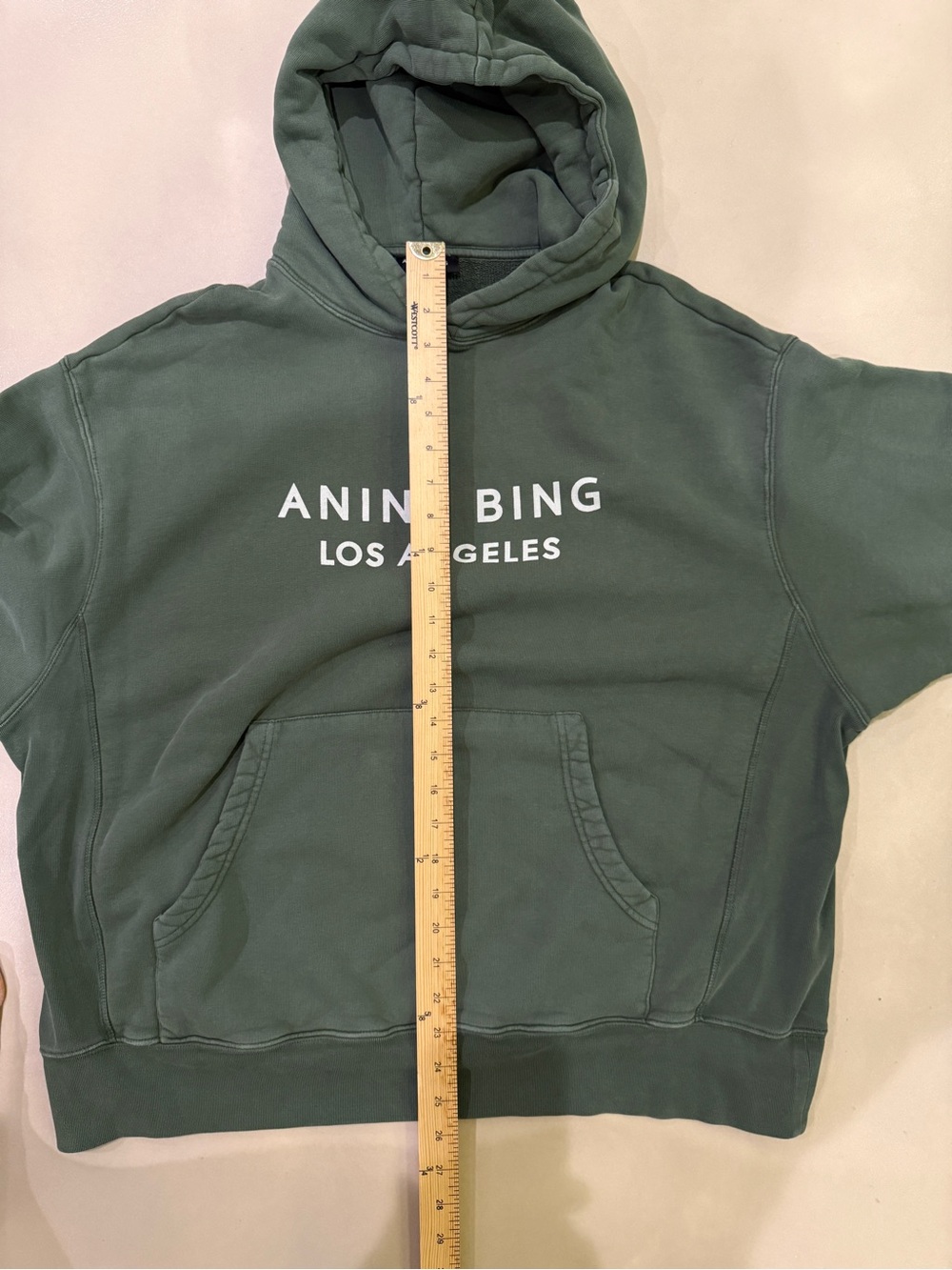 Anine Bing Alto Loho Print Hoodie - Picture 4 of 7